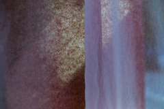 260425L1001530-631388