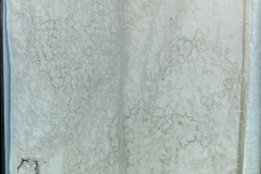 281125L1002275-0137