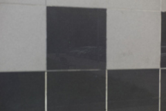 L1001483