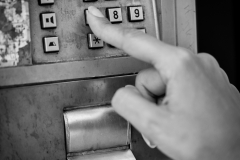 050817_APA7947-5236