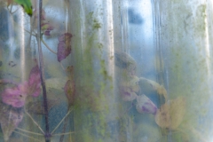 Segundo Plano 061215_APA8639-8857