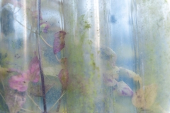 Segundo Plano 061215_APA8642-8860