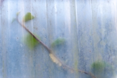 Segundo Plano 061215_APA8657-8875