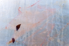 Segundo Plano 141115_APA8346-8295