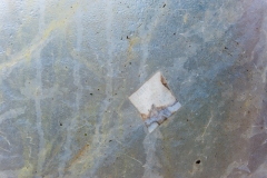 Segundo Plano 141115_APA8350-8299