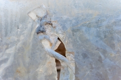 Segundo Plano 141115_APA8351-8300