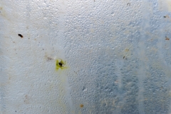 Segundo Plano141115_APA8353-8302