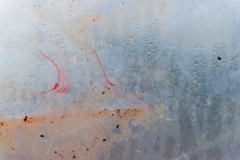 Segundo Plano 141115_APA8355-8304