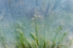 Segundo Plano 141115_APA8357-8306