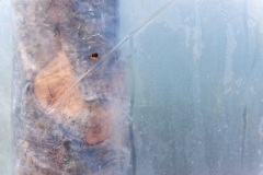 Segundo Plano 141115_APA8358-8307