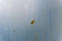 Segundo Plano 141115_APA8361-8310