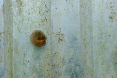 Segundo Plano 250415_APA5409-3688