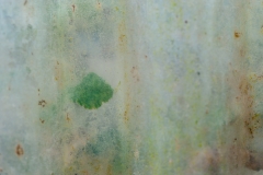 Segundo Plano 250415_APA5422-3701