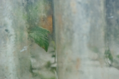 Segundo Plano 250415_APA5453-3732