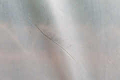 Segundo Plano 270316_APA9611-1163