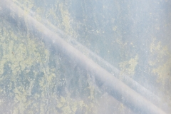 Segundo Plano 270316_APA9612-1164