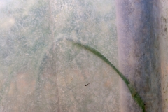 Segundo Plano 270316_APA9632-1184