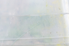 Segundo Plano 300116_APA8922-0194