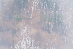 Segundo Plano 300116_APA8925-0197