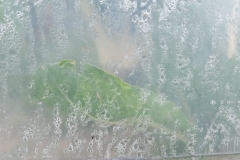 Segundo Plano 300116_APA8930-0202