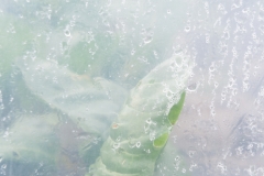 Segundo Plano 300116_APA8935-0207