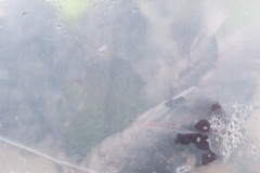 Segundo Plano 300116_APA8939-0211