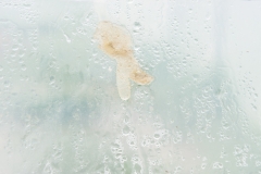 Segundo Plano 300116_APA8946-0218