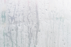 Segundo Plano 300116_APA8949-0221