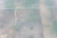 Segundo Plano 300116_APA8951-0223